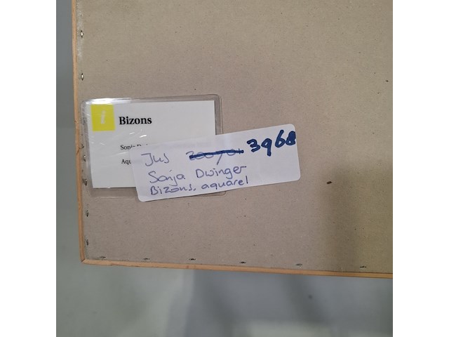 Aquarel, sonja dwinger, bizons - afbeelding 9 van  9