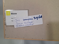 Aquarel, sonja dwinger, bizons - afbeelding 9 van  9