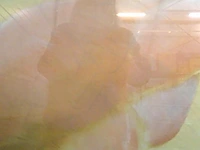 Aquarel - afbeelding 3 van  5
