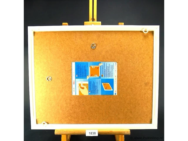 Aquarel - afbeelding 5 van  5
