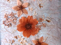 Aquarel - afbeelding 3 van  5