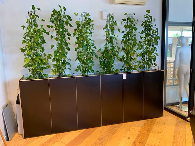 Archiefkast met plantenbak - afbeelding 1 van  4