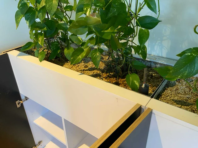 Archiefkast met plantenbak - afbeelding 3 van  4