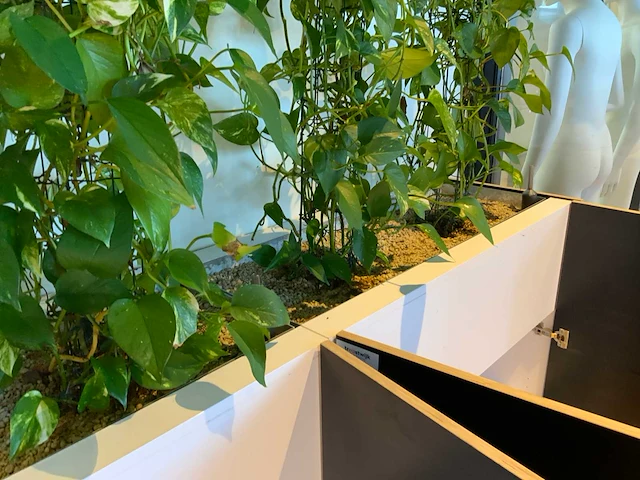 Archiefkast met plantenbak - afbeelding 4 van  4