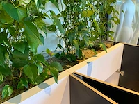 Archiefkast met plantenbak - afbeelding 4 van  4