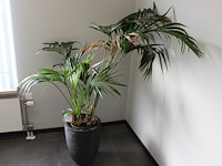 Archiefkast met twee roldeuren. afmeting 120 x 4 3 x 75 cm. - afbeelding 1 van  2