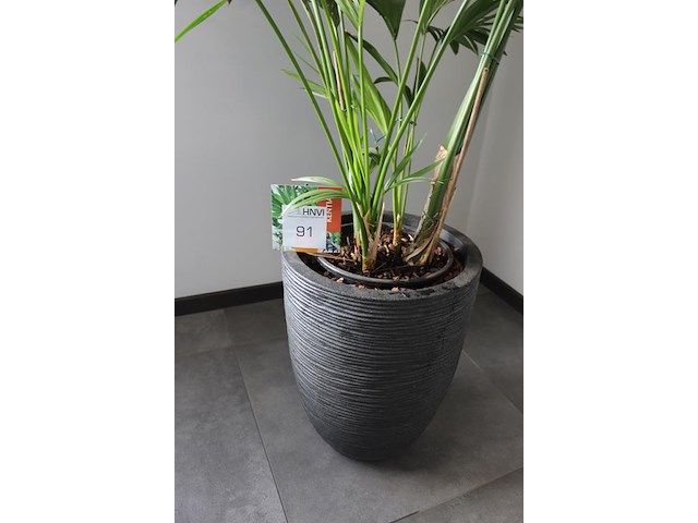 Archiefkast met twee roldeuren. afmeting 120 x 4 3 x 75 cm. - afbeelding 2 van  2