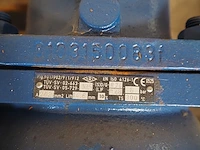 Ari - afbeelding 5 van  5