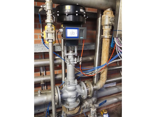 Ari - afbeelding 3 van  9