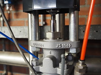 Ari - afbeelding 5 van  9