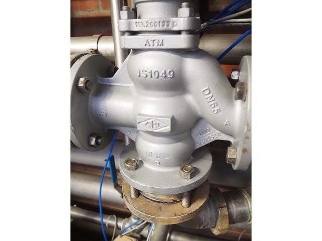 Ari - afbeelding 6 van  9