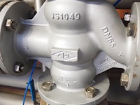 Ari - afbeelding 6 van  9