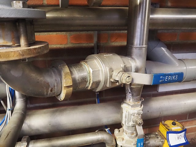 Ari - afbeelding 7 van  9