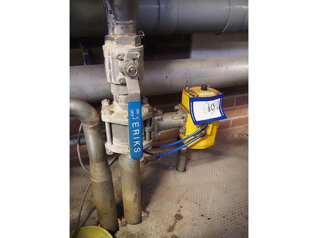 Ari - afbeelding 8 van  9