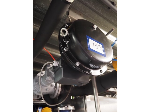 Ari - afbeelding 4 van  8