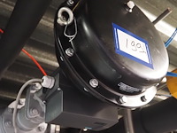 Ari - afbeelding 4 van  8