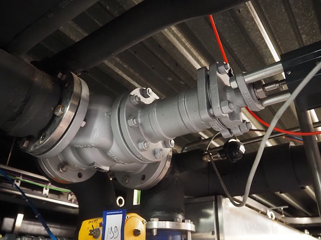 Ari - afbeelding 5 van  8