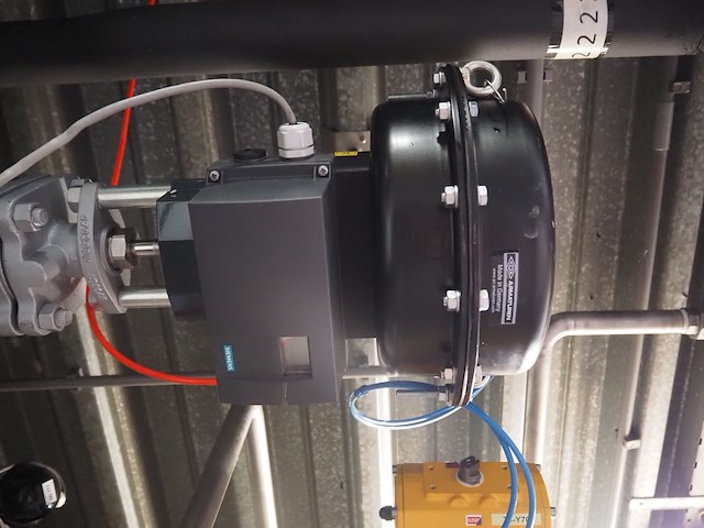 Ari - afbeelding 6 van  8