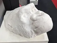 Art op sokkel, aap - afbeelding 3 van  4