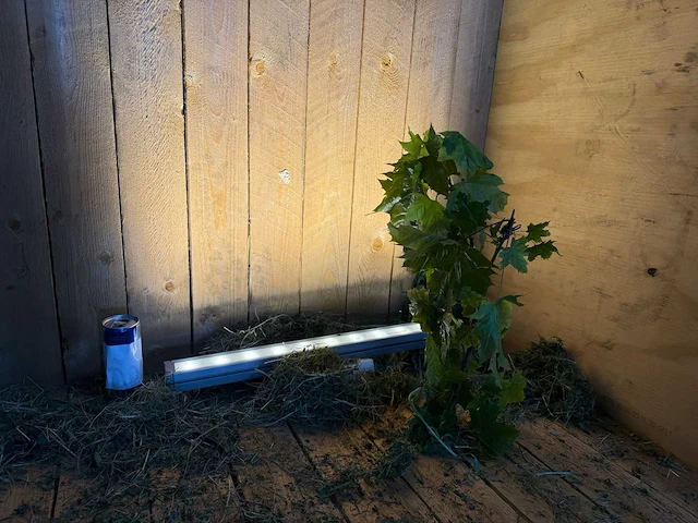 Artecta - glasgow-20 ww - buitenverlichting (18x) - afbeelding 10 van  16