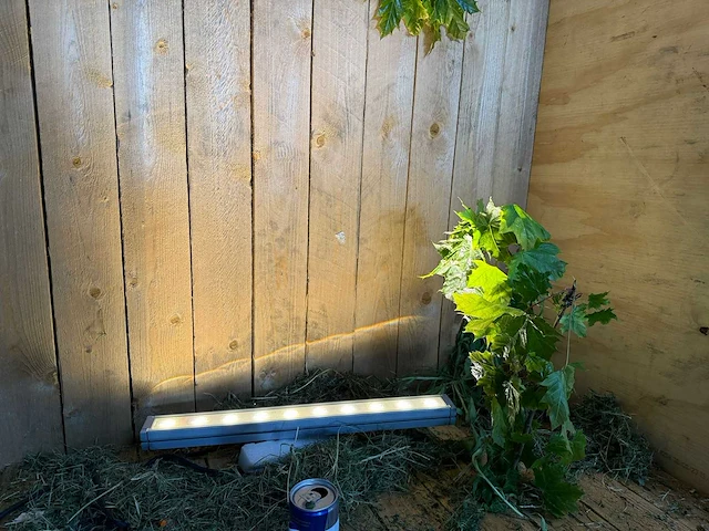 Artecta - glasgow-20 ww - buitenverlichting (18x) - afbeelding 16 van  16