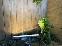 Artecta - glasgow-30 ww a-symmetric - gevelverlichting (9x) - afbeelding 1 van  10