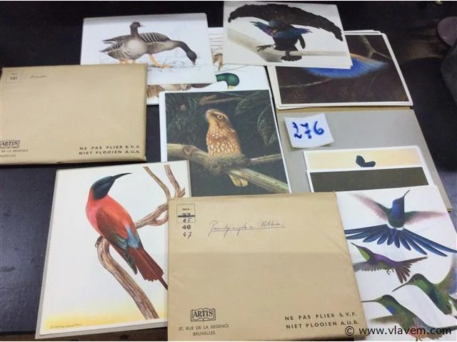 Artis eenden en paradijsvogels - afbeelding 1 van  2