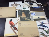 Artis eenden en paradijsvogels - afbeelding 1 van  2
