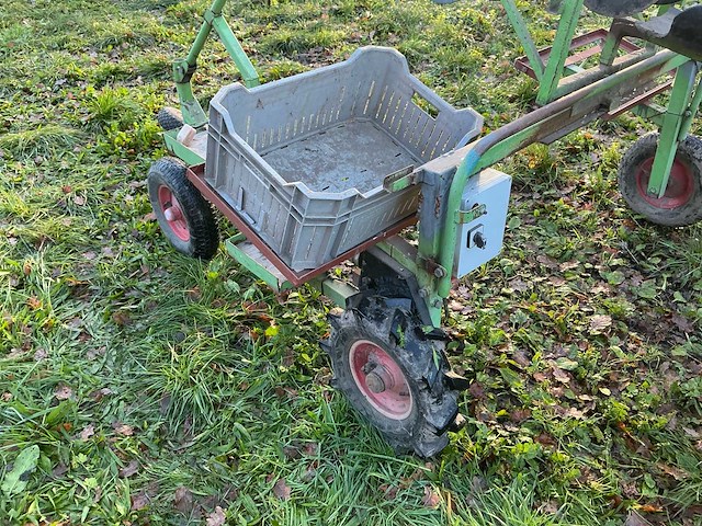 Asperge kar - afbeelding 10 van  14