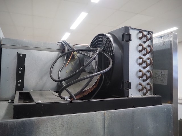 Asskühl - afbeelding 7 van  8