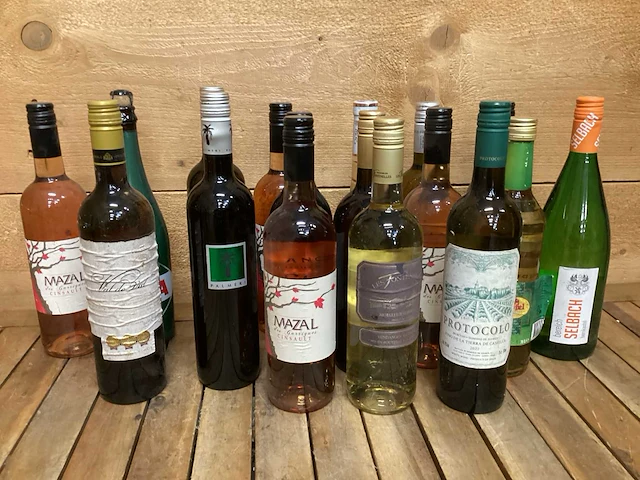 Assorti wijnen (17x) - afbeelding 1 van  1