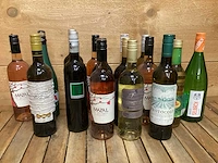 Assorti wijnen (17x) - afbeelding 1 van  1