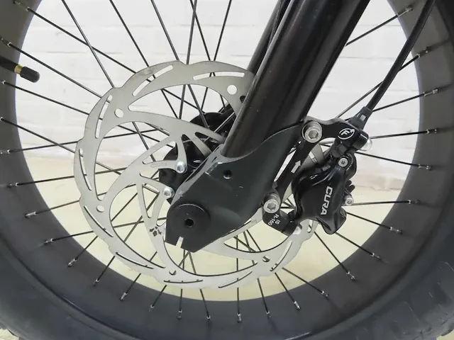 Ateliers heritage bike - heritage heroes - elektrische fiets - afbeelding 7 van  18
