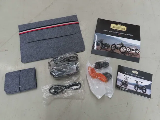 Ateliers heritage bike - heritage heroes - elektrische fiets - afbeelding 10 van  18