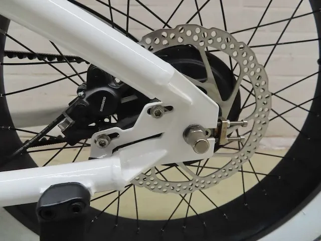 Ateliers heritage bike - heritage heroes - elektrische fiets - afbeelding 5 van  17