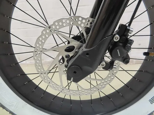 Ateliers heritage bike - heritage heroes - elektrische fiets - afbeelding 6 van  17