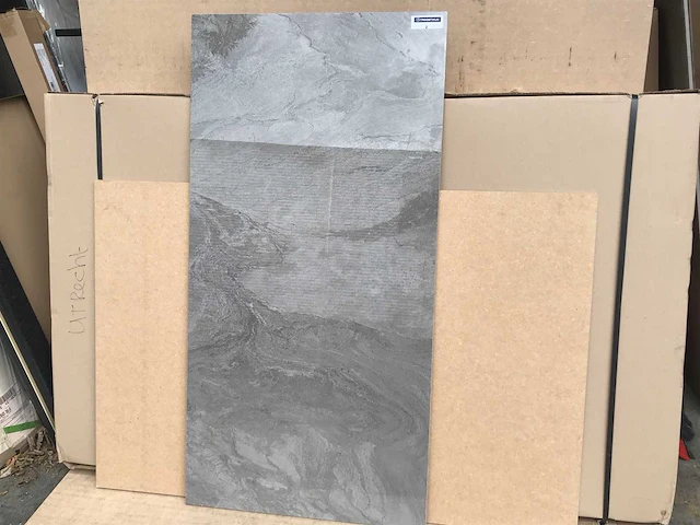 Atlantis vizon gepolijst tegel 60 m² - afbeelding 3 van  4
