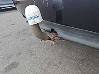 Audi a4 limousine 1.9 tdi , ps-hj-54 - afbeelding 6 van  16