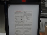 Autonumis - afbeelding 5 van  6