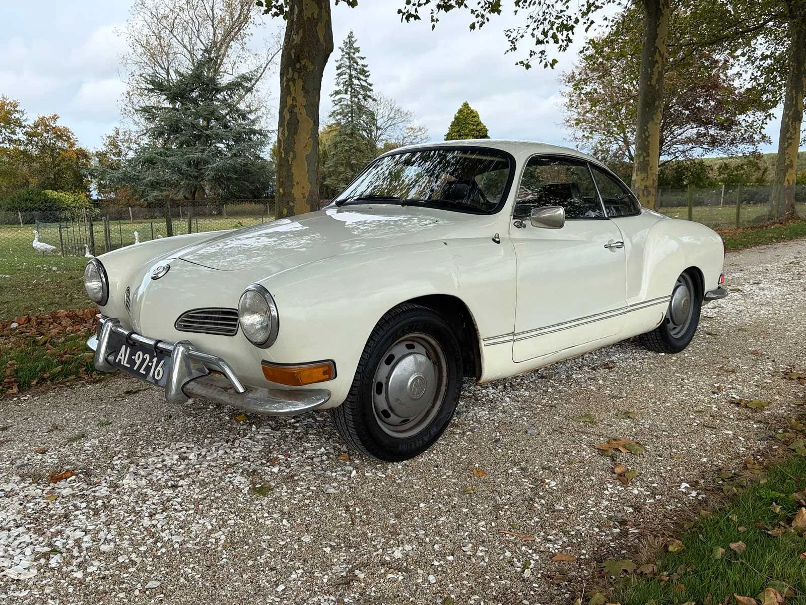 Auto's, bestelwagens, brommers en aanverwanten