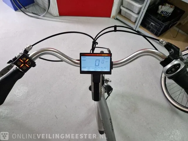 Avesta e-bike/ elektrische fiets voyage, zilver - afbeelding 4 van  12