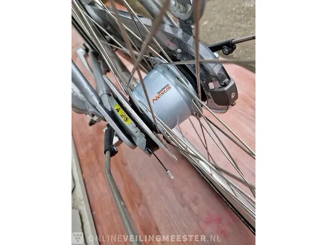 Avesta e-bike/ elektrische fiets voyage, zilver - afbeelding 8 van  12