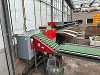 Aweta e 8 komkommer sorteerder - afbeelding 2 van  4