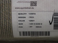 Ayyiluiz costa collection vloerkleed - 160x230cm - afbeelding 3 van  3
