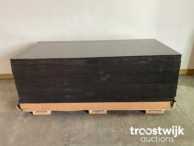 Aziatische populieren betonplex plaat 120 gram 250x125x1,8 cm - afbeelding 1 van  6