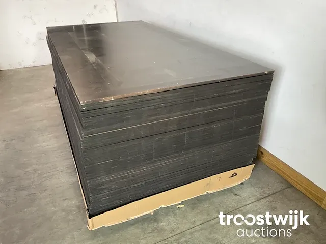 Aziatische populieren betonplex plaat 120 gram 250x125x1,8 cm - afbeelding 2 van  6