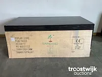 Aziatische populieren betonplex plaat 120 gram 250x125x1,8 cm - afbeelding 3 van  6