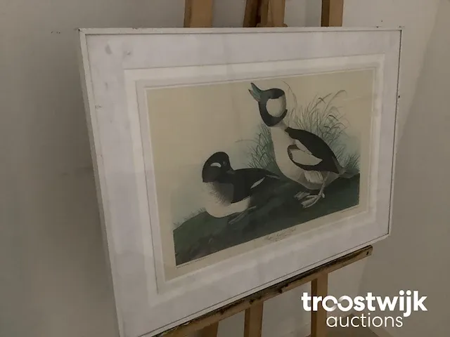 B. havell schilderij - afbeelding 1 van  3