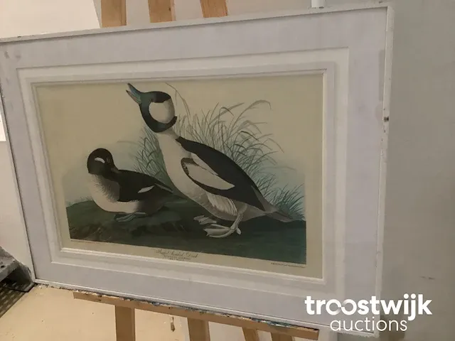 B. havell schilderij - afbeelding 2 van  3