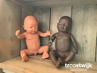 Baby paspoppen - afbeelding 1 van  1